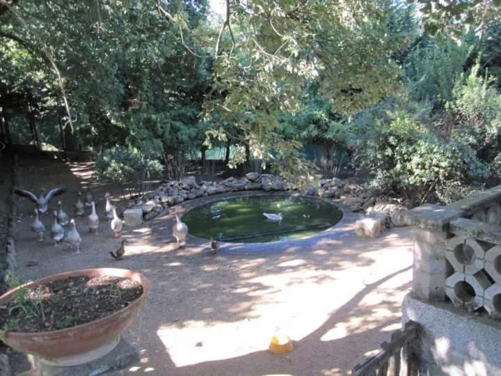 Willa Parco Delle Streghe Scarlino Zewnętrze zdjęcie