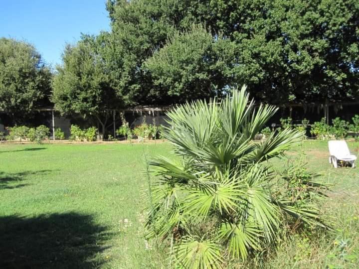 Willa Parco Delle Streghe Scarlino Zewnętrze zdjęcie