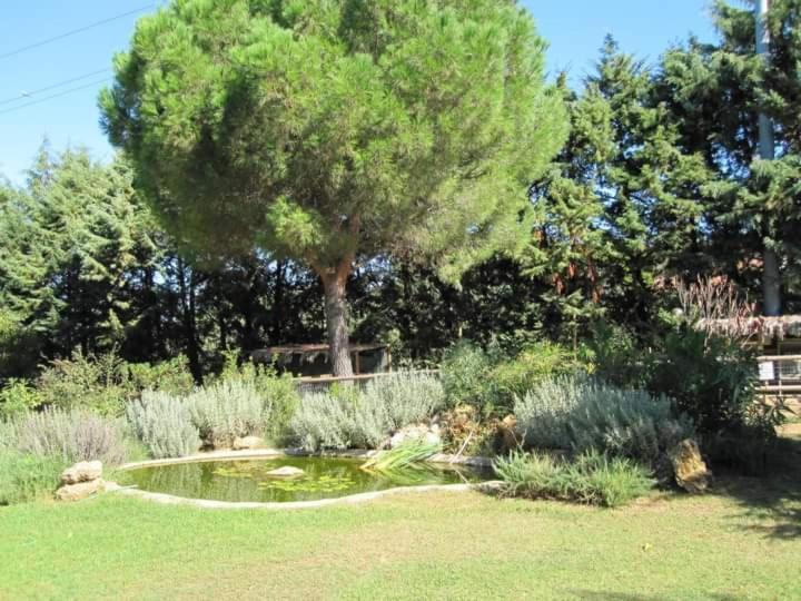 Willa Parco Delle Streghe Scarlino Zewnętrze zdjęcie